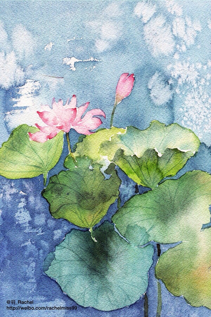 荷花 水墨 壁纸