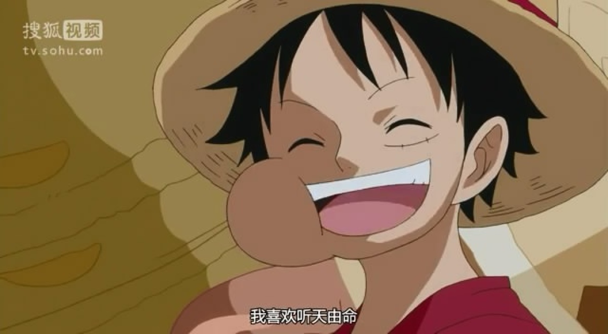 我喜欢听天由命 luffy 海贼王