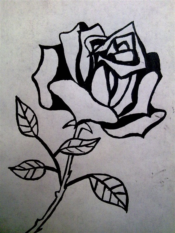 初中生绘画玫瑰花