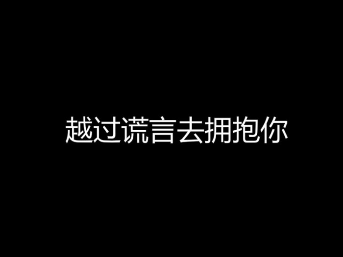 越过谎言去拥抱你