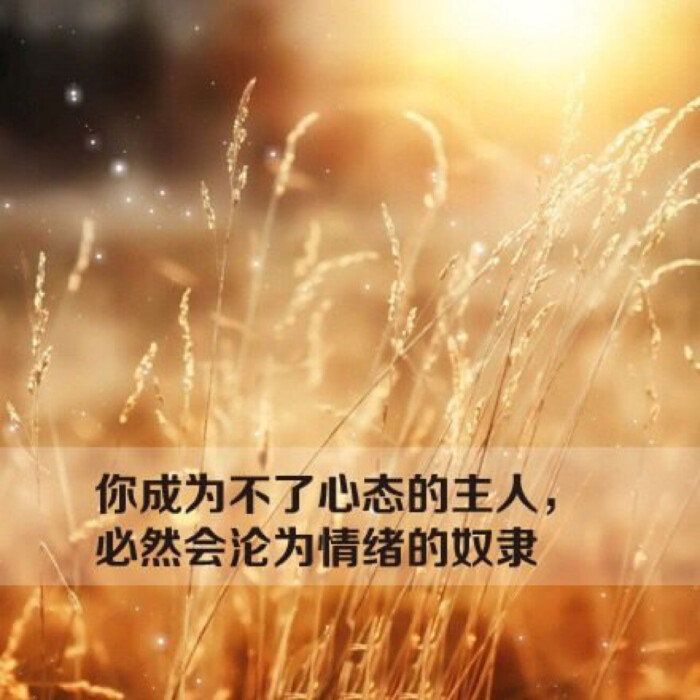 你成为不了心态的主人,必然会沦为情绪的奴隶.