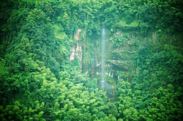 蜀南竹海,所在地四川宜宾长宁.