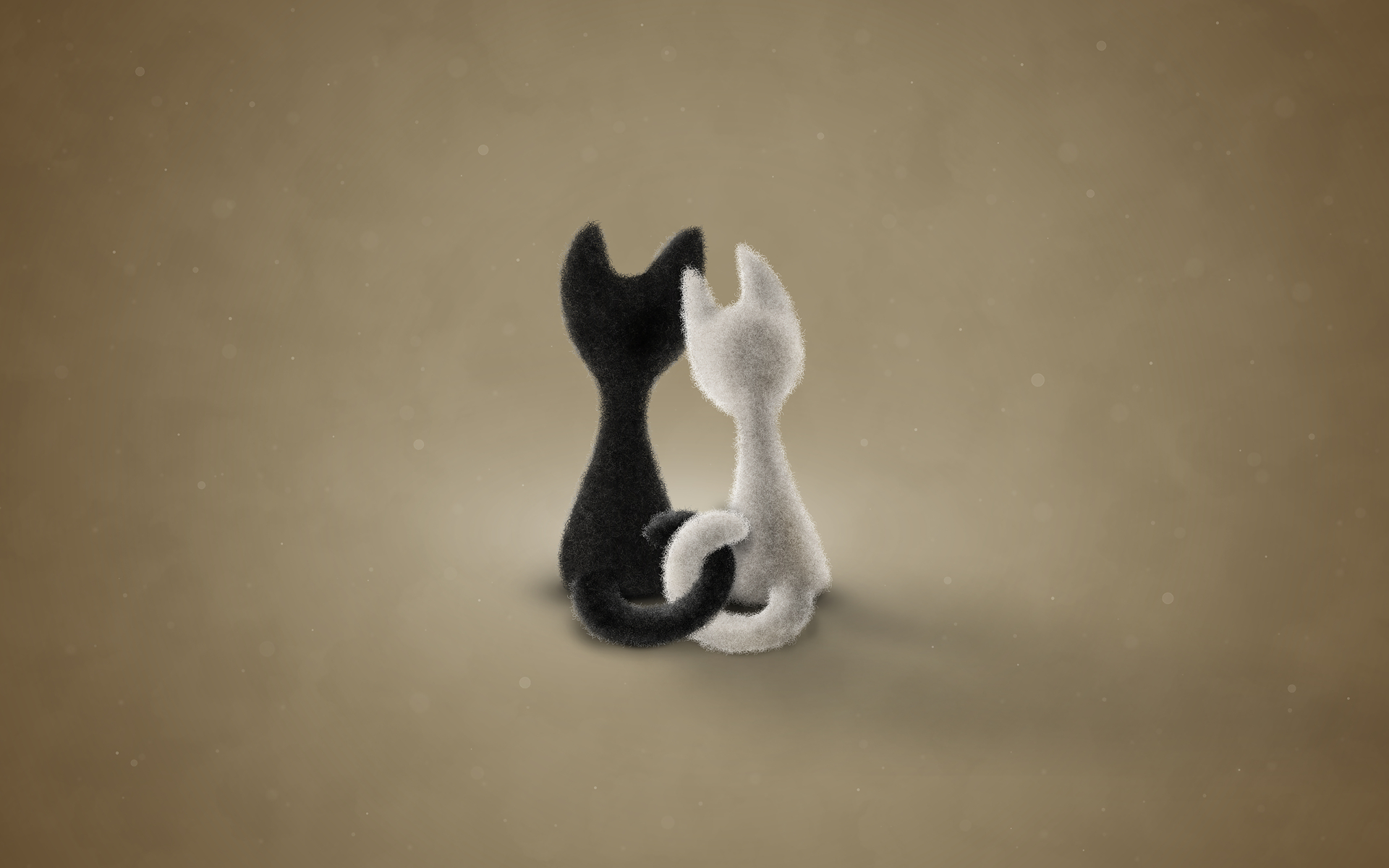 vladstudio壁纸【1920x1200】黑猫 白猫 颜色3 black cat white cat