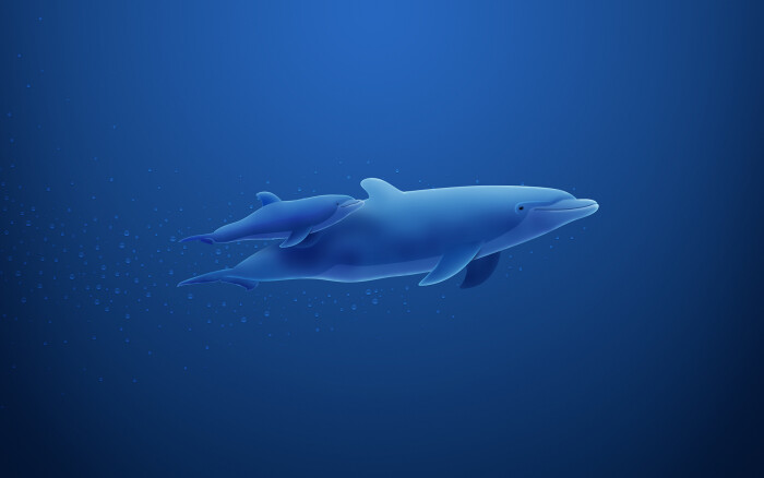 vladstudio壁纸【1920x1200】海豚 dolphins