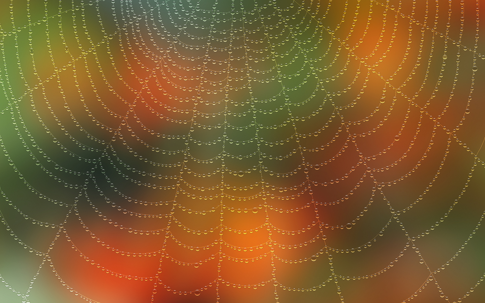 vladstudio壁纸【1920x1200】蜘蛛网 水滴 spiderweb waterdrops