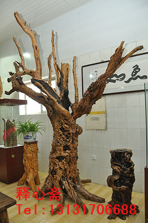 枣树根雕图片欣赏,天然枣树根雕图片价格,枣树根雕制作过程,枣树根雕