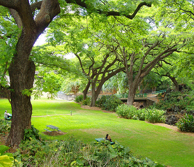 檀香山市又称火奴鲁鲁(honolulu,是美国夏威夷州首府和港口城市.