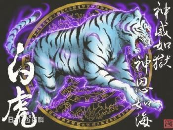在中国古代神话中,白虎是西方保护神,战神,杀伐之神.