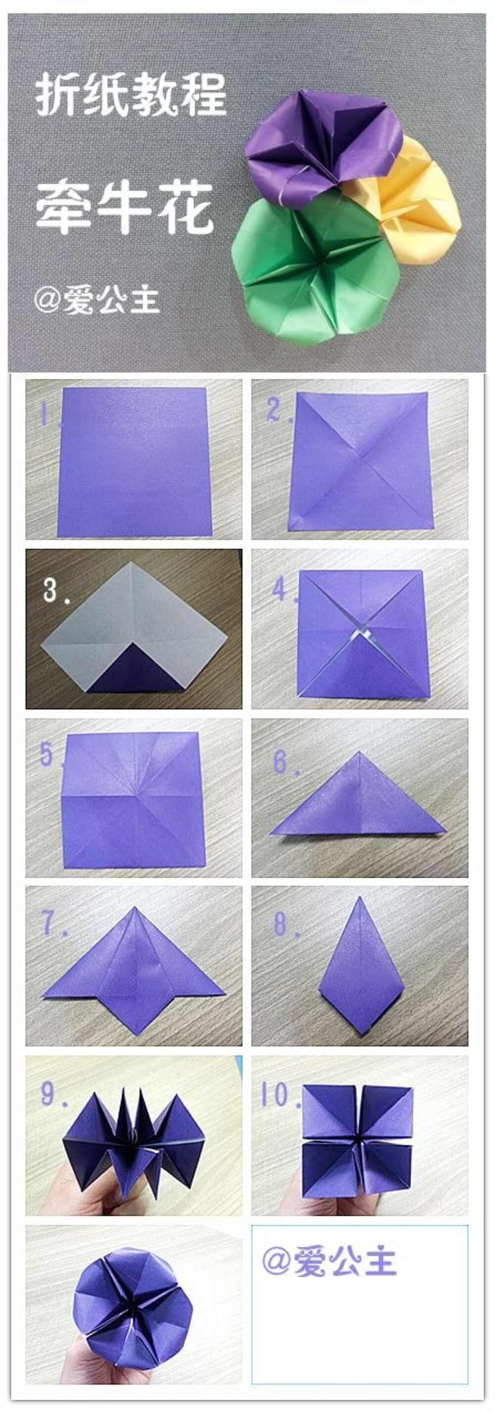 手工达人的折纸教程:牵牛花