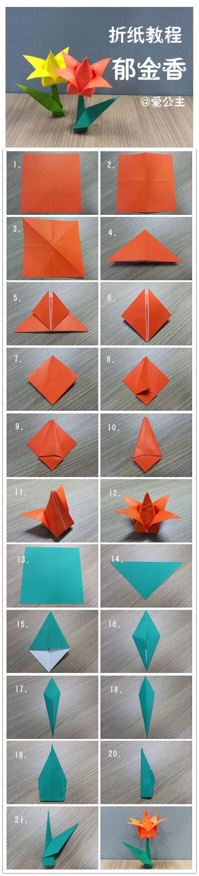 手工达人的折纸教程:郁金香