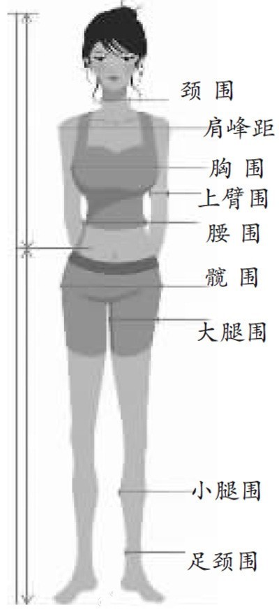 【性感女性标准:胸围是身高的一半】据英国《每日邮