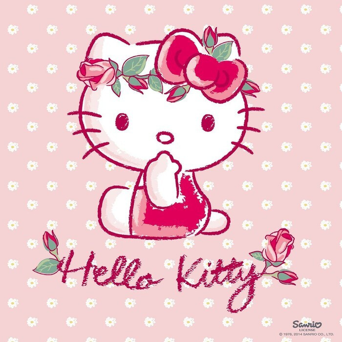 kitty , hello kitty , 凯蒂猫