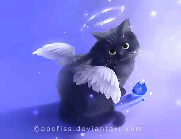 天使猫 