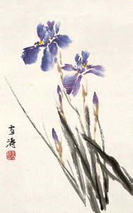 国画兰 花之君子兰,兰花开时,沁香袭人