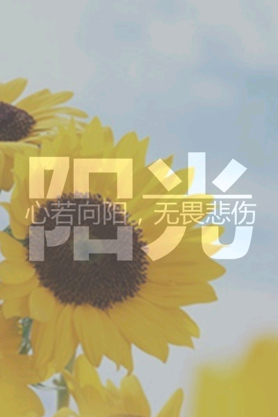 原创壁纸,心若向阳