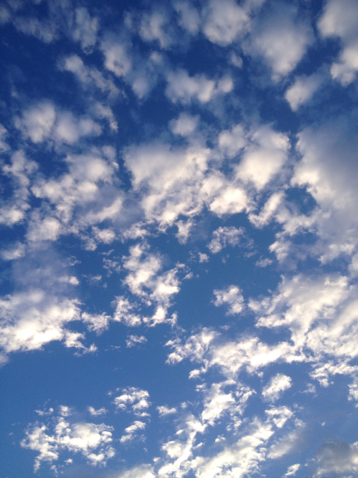 晒天空#看到这样的天空,心情也美美的.