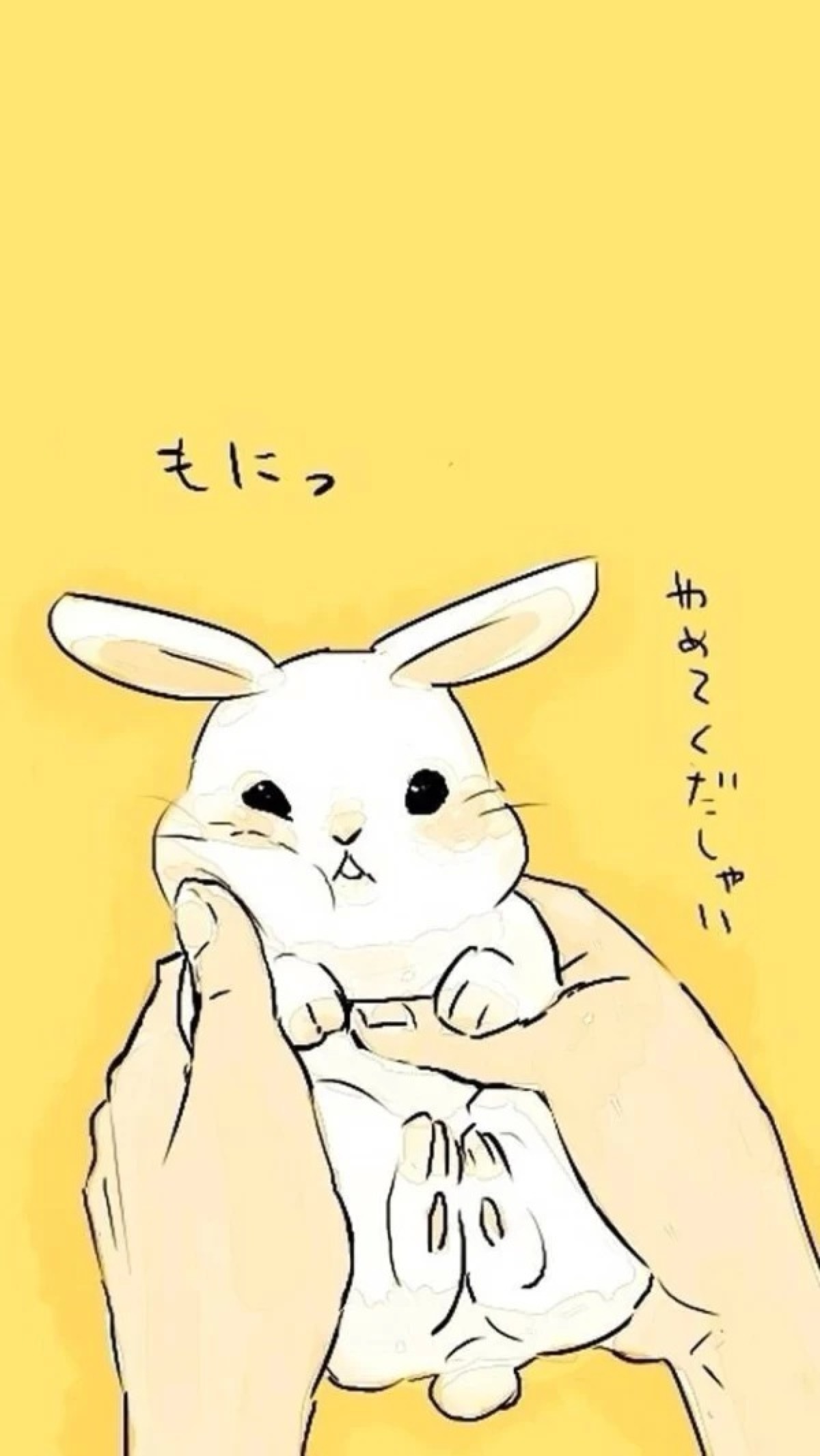 iphone壁纸.小兔子.