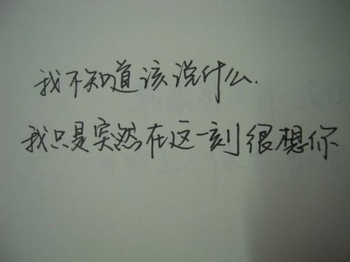 我不知道该说什么,我只是突然在这一刻很想你.