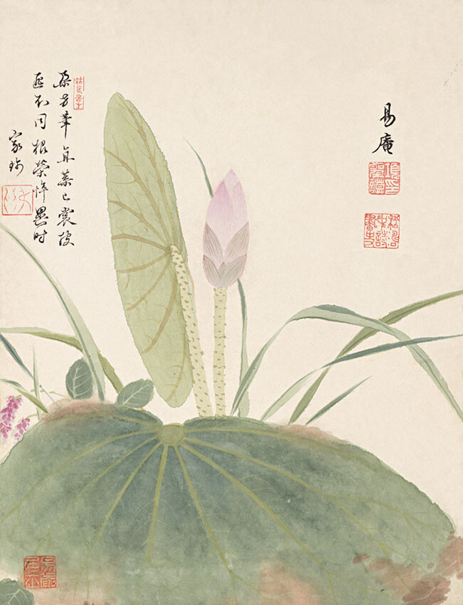 《荷花》 画中画家仅落款号"易庵",清代画家汪家珍题诗:"朵方笔,直叶