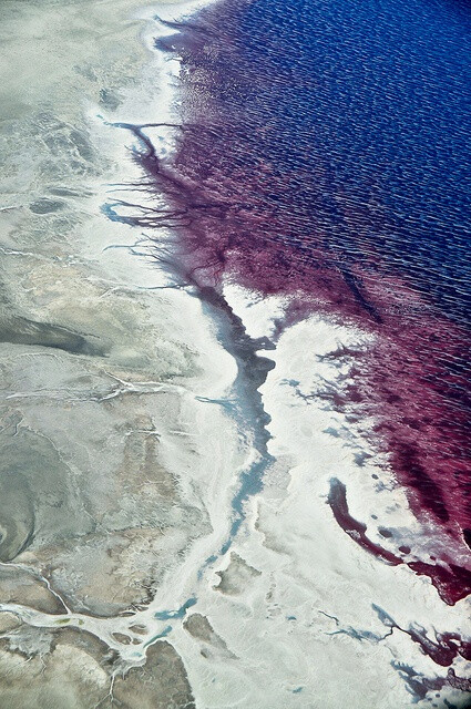 great salt lake,utah, united states of america.