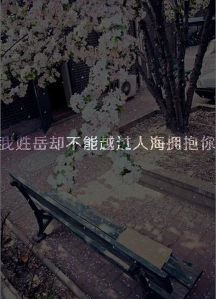 我姓岳 