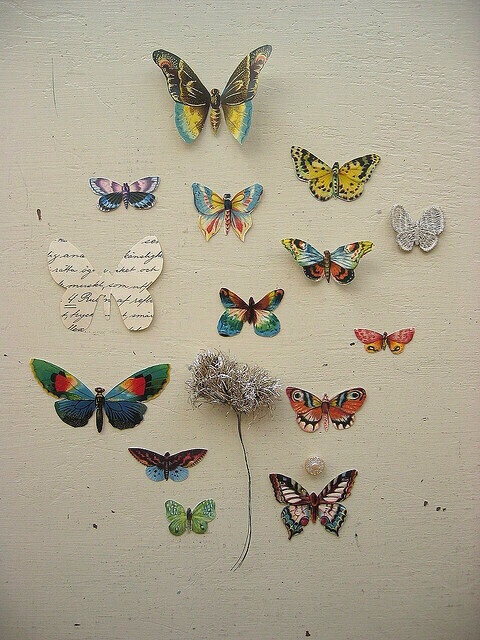 蝴蝶的另类精彩——#艺术家#手工达人#蝴蝶的精彩创意