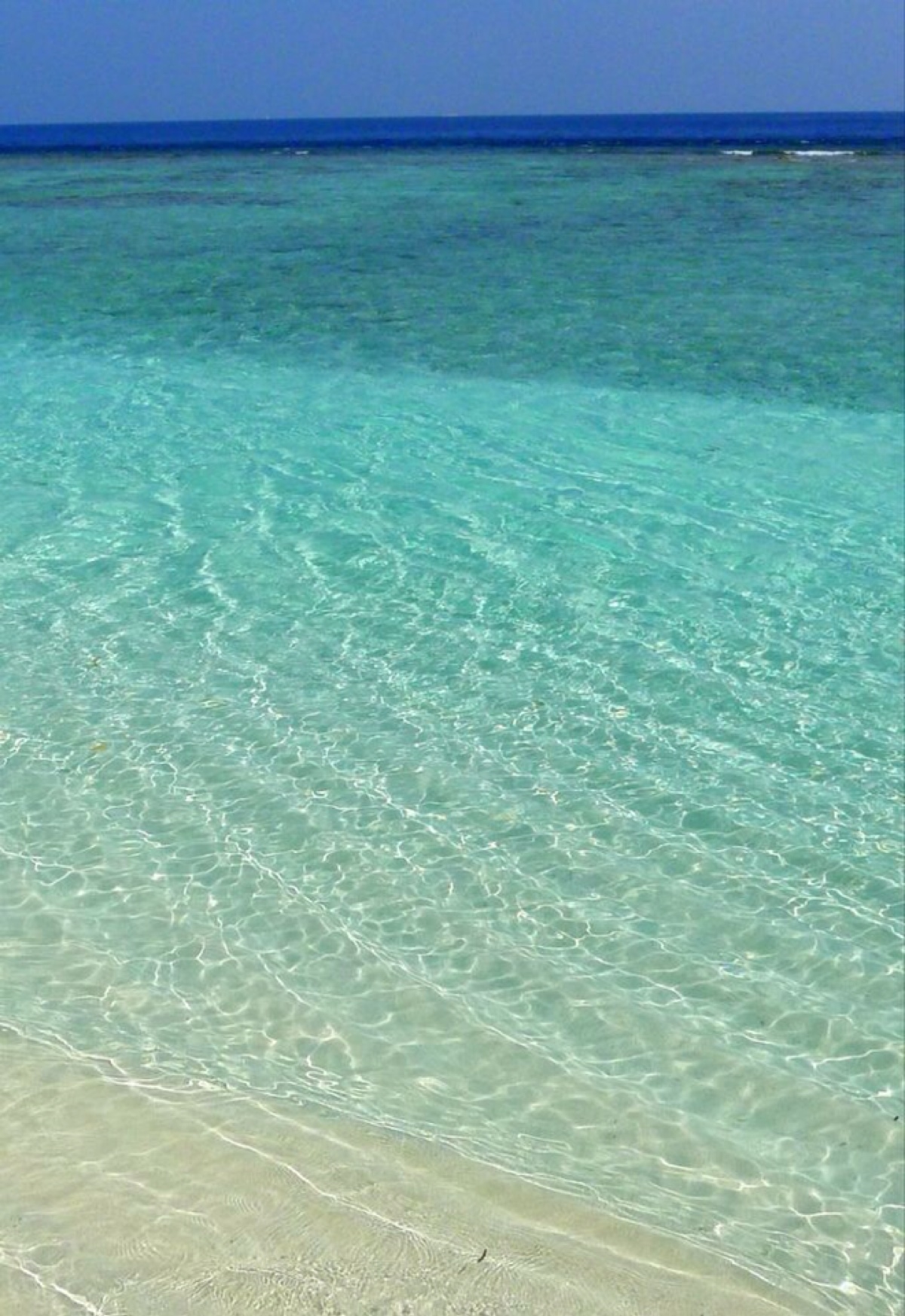 马尔代夫渐变的海水沙滩