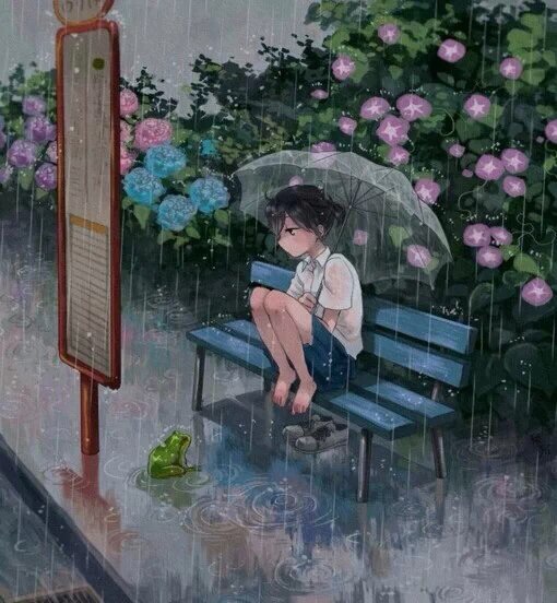 二次元 少女 雨伞 唯美 小清新 透明伞 等待 花 美图 p站 手绘 壁纸