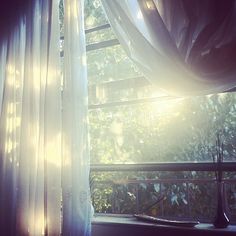 我总是喜欢,当晨曦的第一抹阳光爬上我的窗台时.