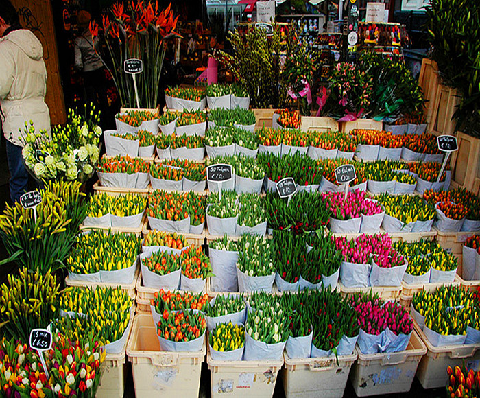 荷兰 辛格鲜花市场.