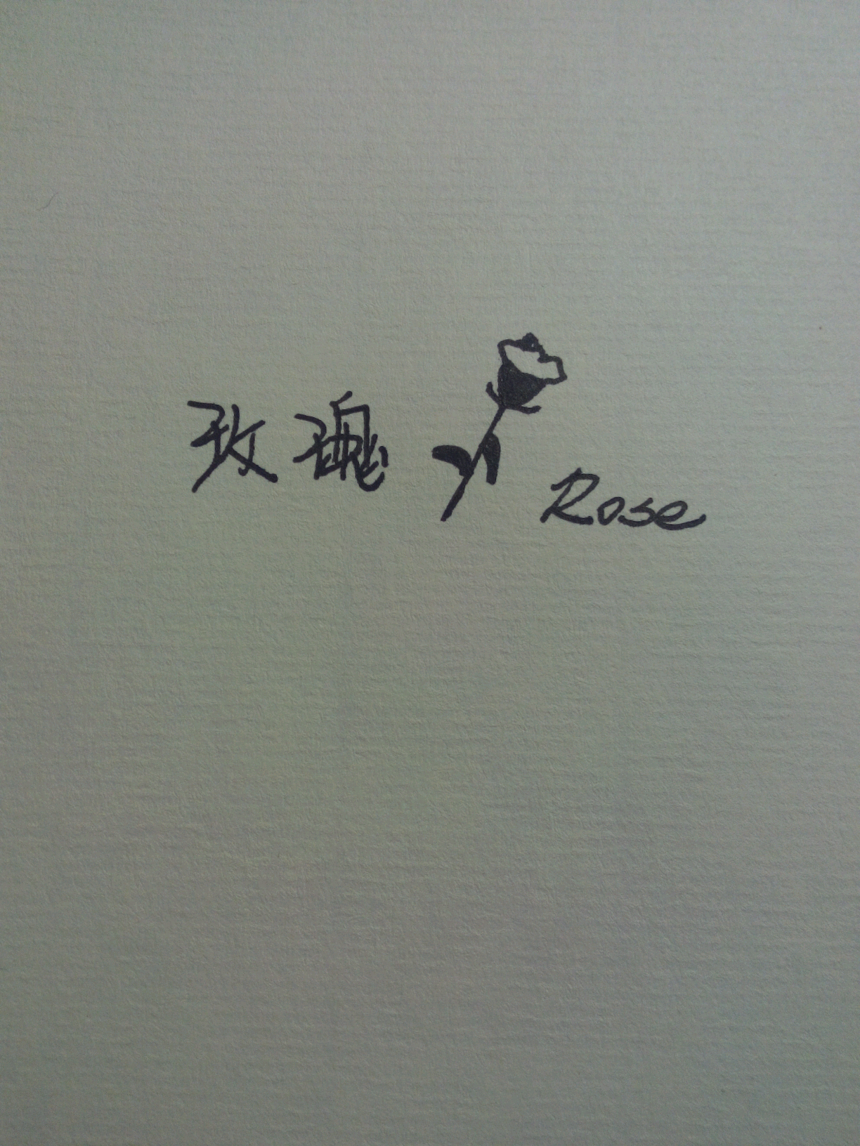 手写,.玫瑰【花类】