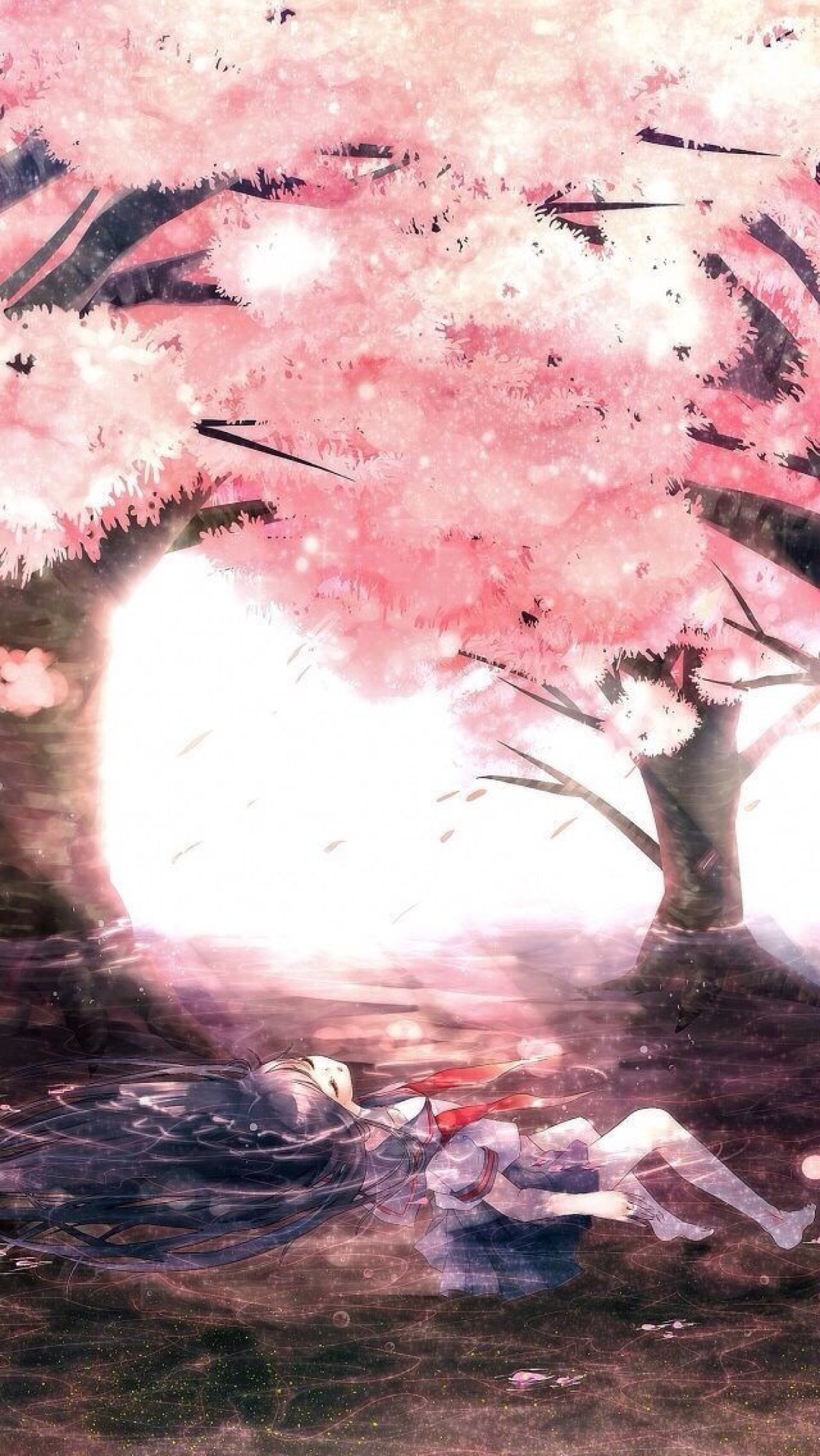 樱花树下的女孩