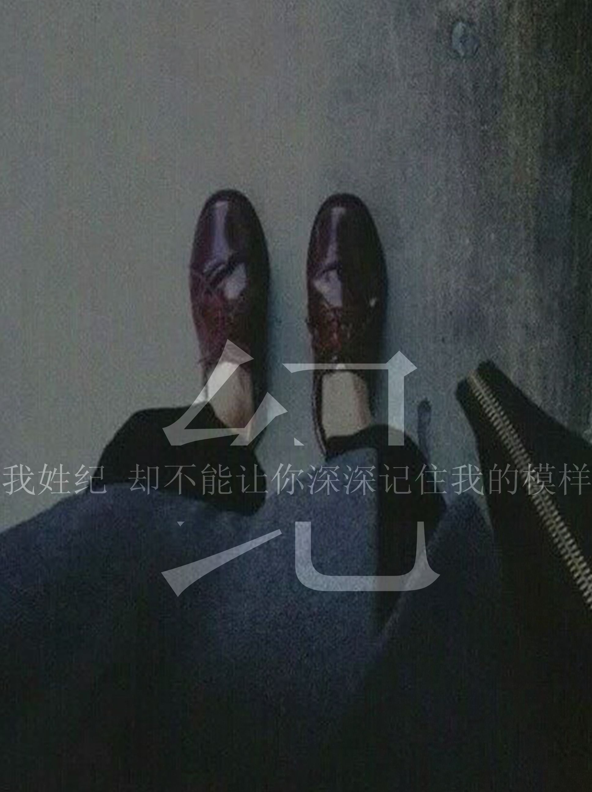 我姓纪 