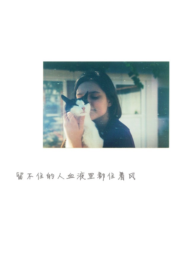 留不住的人血液里都住着风