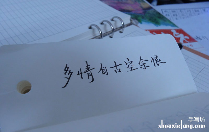 纯手写:多情自古空余恨