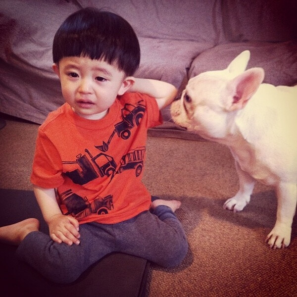 《小男孩与斗牛犬》