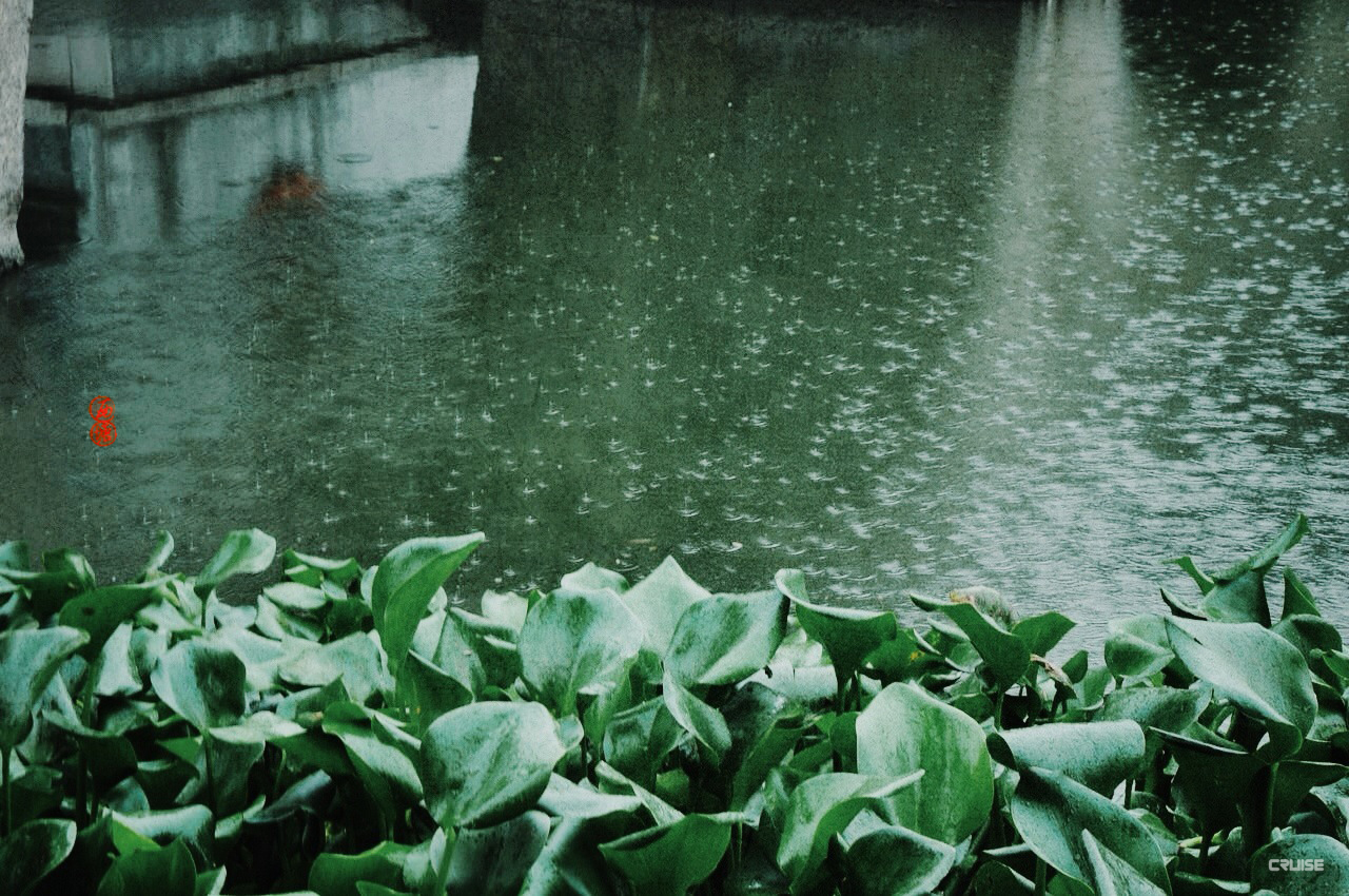 春有百花秋有月,夏有凉风冬有雪.若无闲事挂心头,便是人间好时节.