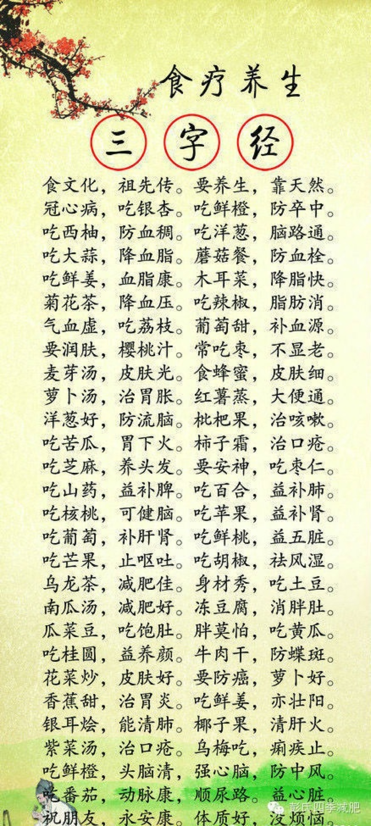 三字经 养生