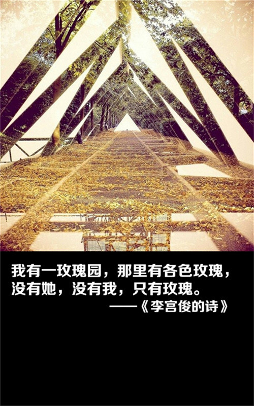 李宫俊 堆糖网