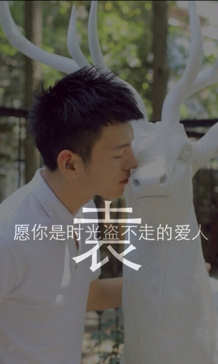 我姓袁 