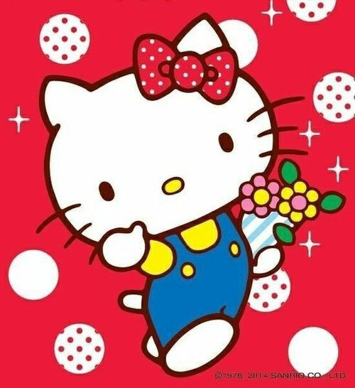 kitty , hello kitty , 凯蒂猫