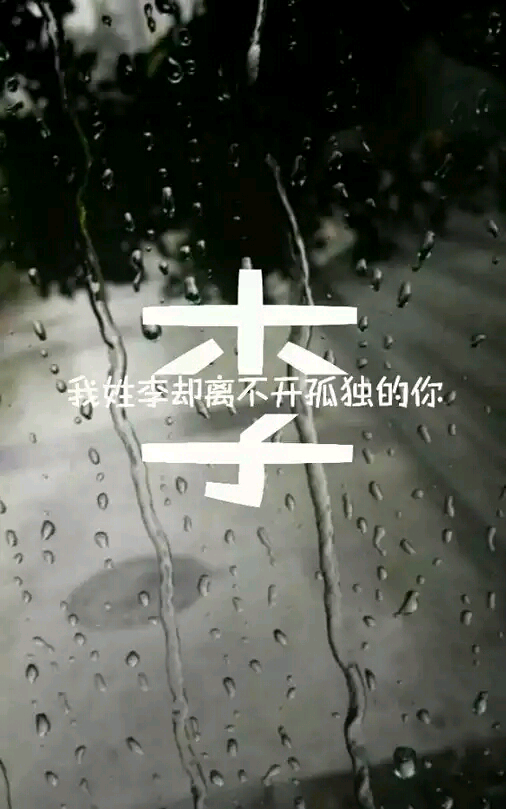 我姓李 