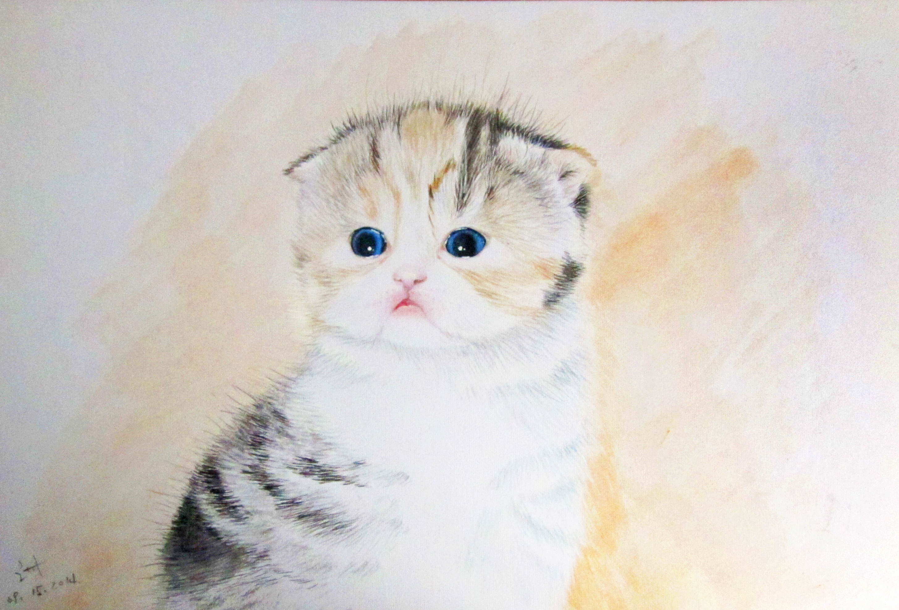 第一次画小奶猫～这小眼神!水灵灵