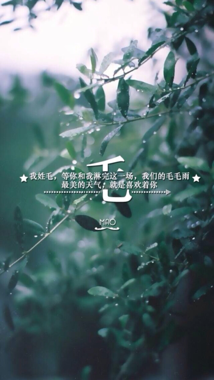 (by拖沓囍天王)姓氏壁纸-我姓毛