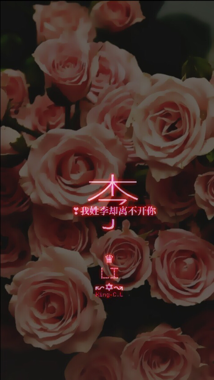我姓李姓氏壁纸