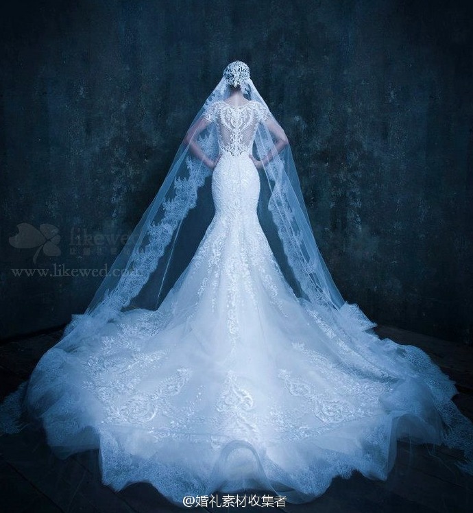 michael cinco婚纱结合华丽设计与精致细节,将新娘的高贵美态完美地
