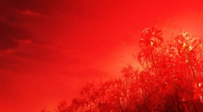 血红色彼岸花——冥界幻想图