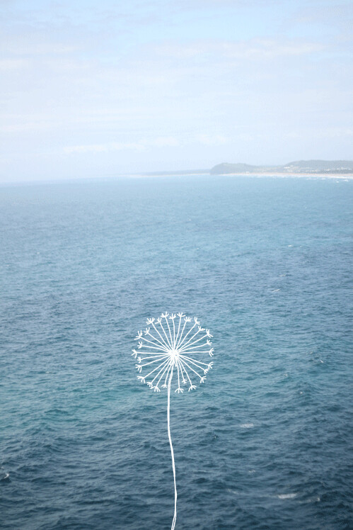 天空和大海 蒲公英 风景 iphone手机壁纸 简约