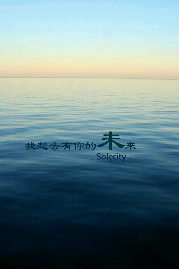 solecity 我想去有你的未来