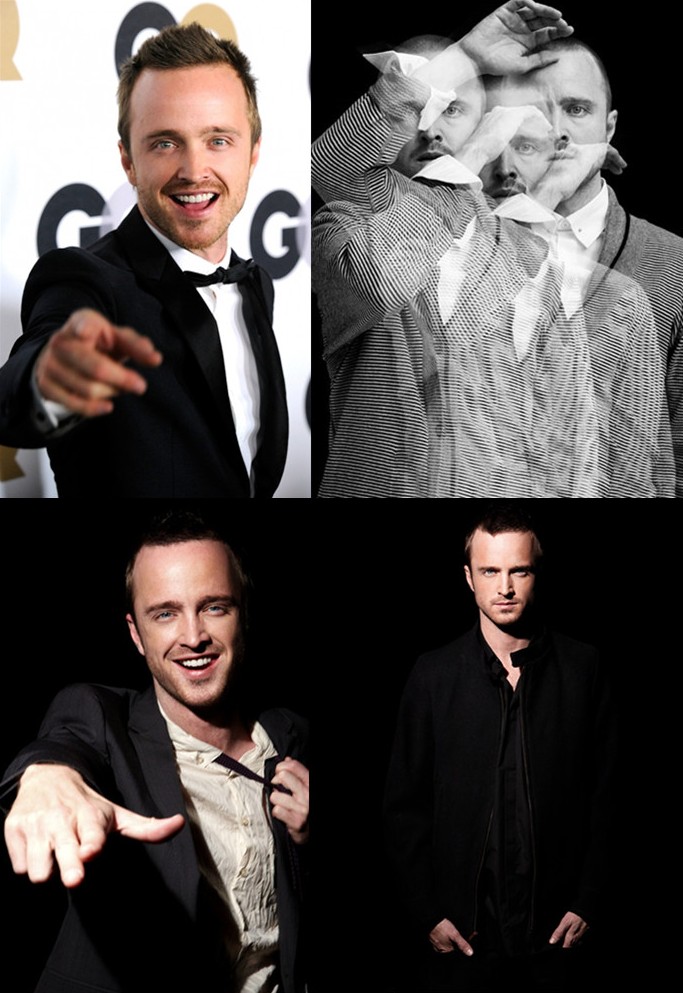 亚伦·保尔 aaron paul